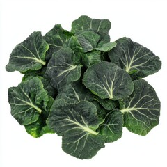 Fresh Green Leaves - Healthy and Delicious on white background