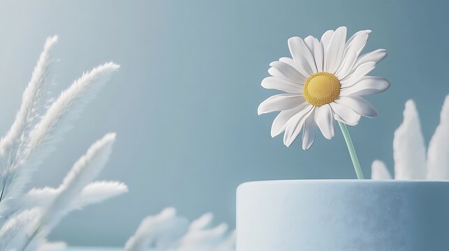 Simple and refreshing daisy design with chamomile flowers on soft blue background generative ai
