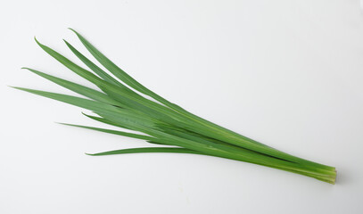 　　菖蒲湯  子供の日