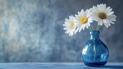 Elegant arrangement of three white daisies in a blue glass vase on a table generative ai © Photo