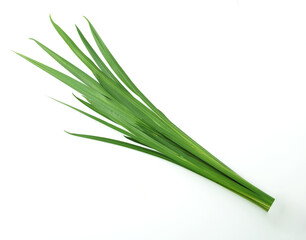 　　菖蒲湯  子供の日