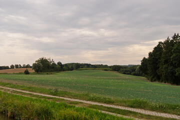 A field of green grass with a few trees in the background