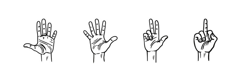 Line drawing shows a set of four hands gesturing the numbers five, four, two, and one finger pointing up on a transparent background