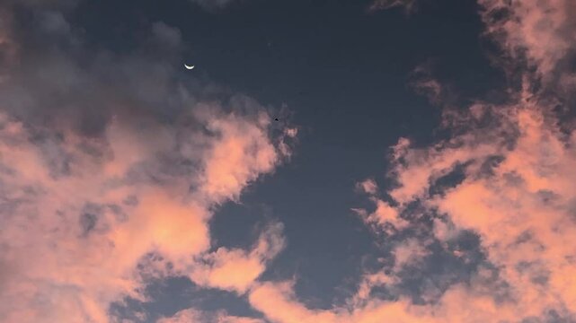 fire in the sky