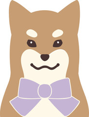 Fototapeta premium icon-front-1-purple1