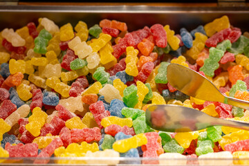 Colorful gummy bears displayed in a sweet shop during an afternoon visit