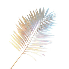 Fototapeta premium Iridescent Palm Frond on Green Transparent background - Tropical Botanical Illustration