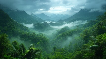 Mystical mountain range covered with lush jungle and ethereal misty veils