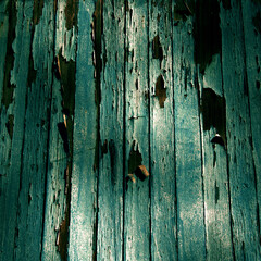 Green wood plank, wooden texture, wood board, abstract background