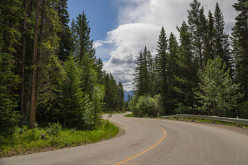 Scenic empty winding road along the forest in Banff National Park, Alberta, Canada in the morning. One of the most beautiful viewpoints. Scenic country road in the forest.