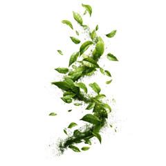 Green Tea Leaves Exploding in Motion, Abstract Nature Design