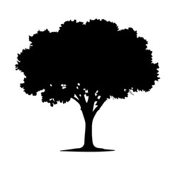 tree silhouette with roots and branches spread wide, isolated on white background 