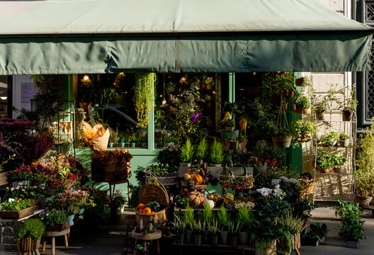 Flower shop displays vibrant blooms and plants