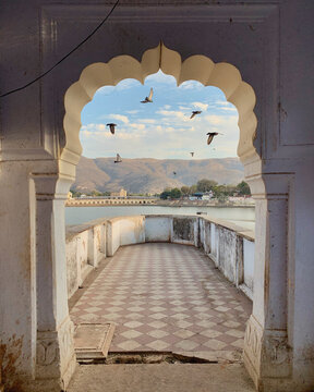 Pushkar Birds