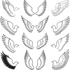 Bird Wings line art icon bundle isolated illustration