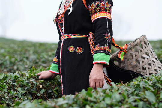 Contemplative Farmer Overlooking the Fields