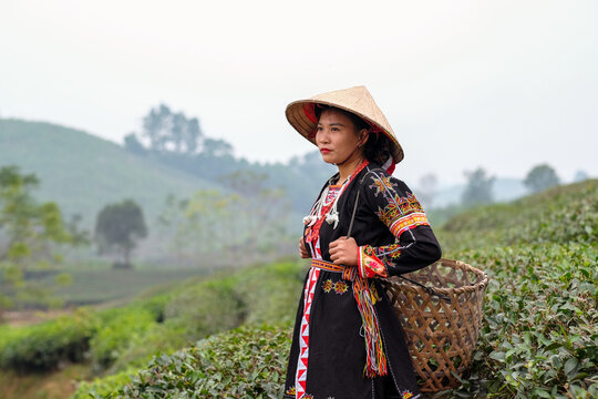 Tea Farmer in Vibrant Attire