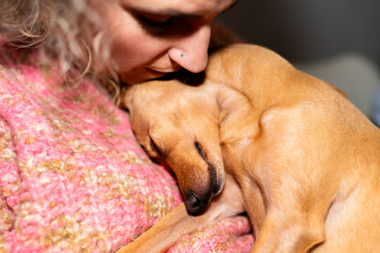 Woman cuddling sleeping miniature pinscher dog on pink blanket