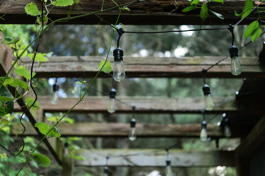 Outdoor space 