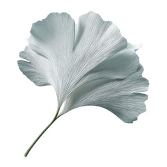 Silver Ginkgo Biloba Leaf Abstract