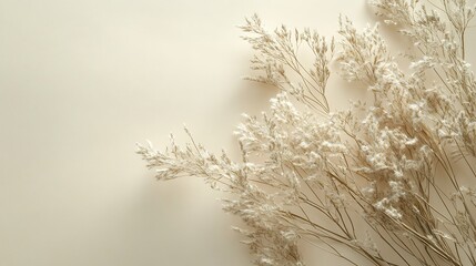 White paper flat lay with dried grass on beige background offering plenty of room for text generative ai