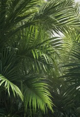 Fototapeta premium Vibrant green palm leaves, sunlight dappled, lush texture , green leaves, leaves