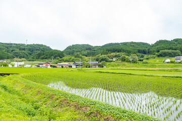 Obraz premium 長湯温泉周辺の田園風景
