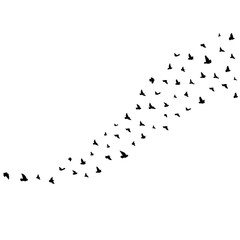 Birds Flying Shape