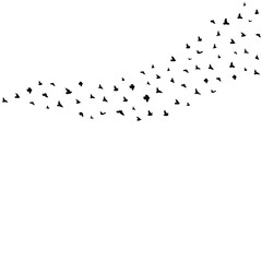 Birds Flying Shape
