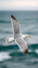 Fototapeta premium Oil-covered bird in flight over dark ocean reflects environmental challenges