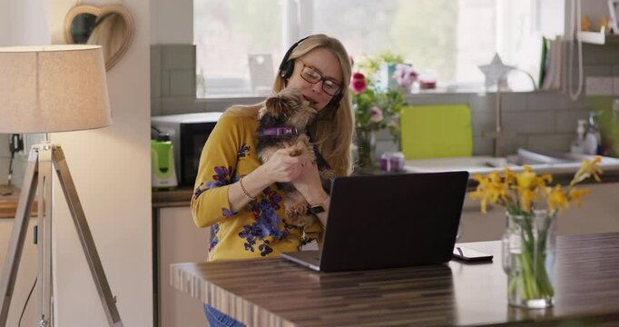 Video call, dog and remote work on a laptop with a woman at home for business or communication. Virtual meeting, headphones and pet with a happy female entrepreneur or employee working in her house