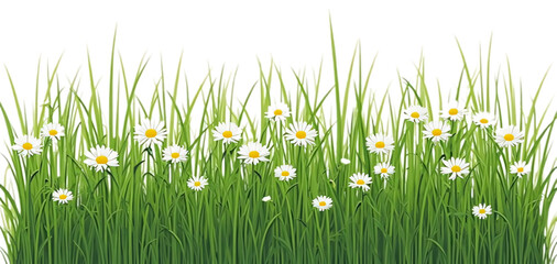 Fototapeta premium A vibrant, fresh spring green grass lawn edge border, adorned with daisy flowers isolated against a transparent background. Generative ai