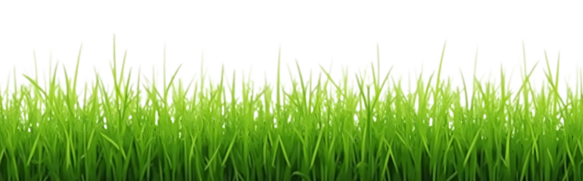 A vibrant, fresh spring green grass lawn edge border, adorned with daisy flowers isolated against a transparent background. Generative ai