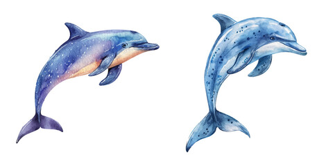 Fototapeta premium dolphin watercolor vector illustration