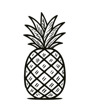 recommend clip art: Pineapple Tropical Fruit Food Black and White Art