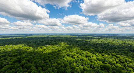 Skyline over Verdant Canopy: An expansive aerial view of a dense forest, punctuated by fluffy clouds and a radiant blue sky, offering a sense of boundless beauty.