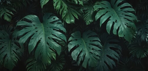 Fototapeta premium Intricate, shadowed tropical leaves, deep emerald hues , tropical, green, undergrowth