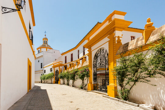 Yellow and white walkways