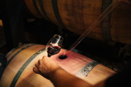Wine barrel tasting / sampling. 