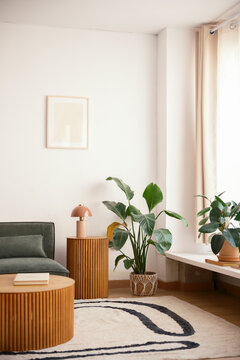 Cozy and minimalist living room 