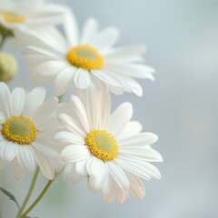 A Serene White Landscape Featuring Soft Textures and Gentle Curves Evoking Calm and Tranquility