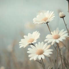 Delicate White Flowers Blooming Vibrantly in a Lush Green Field Under a Bright Clear Blue Sky