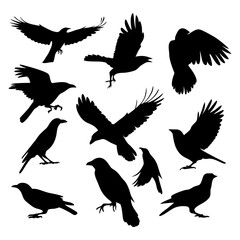 Flying Bird Silhouettes Collection – Black Vector Birds in Various Flight Poses