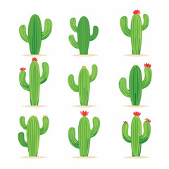 Set Cactus Vectors