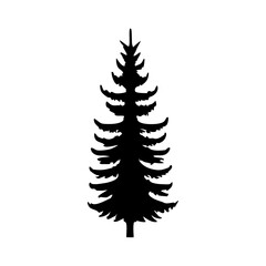 Obraz premium pine tree silhouette