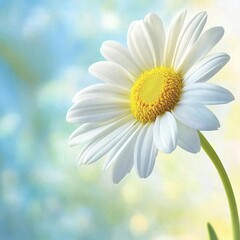 Naklejka premium Delicate White Daisy Flower Blossoming Under Bright Blue Sky Evoking Tranquility and Natural Beauty