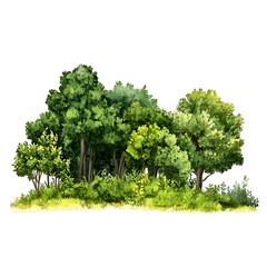 Green forest on white background