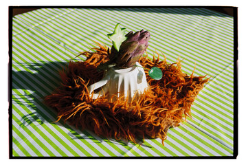 Unique art piece featuring fruits 