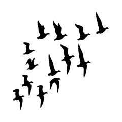 Obraz premium Flying birds silhouette vector image for migration season avian fauna ornithology and wildlife artwork design