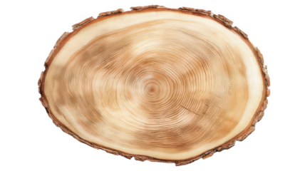 Freshly Cut Wood Slab with Light Tones Transparent Background